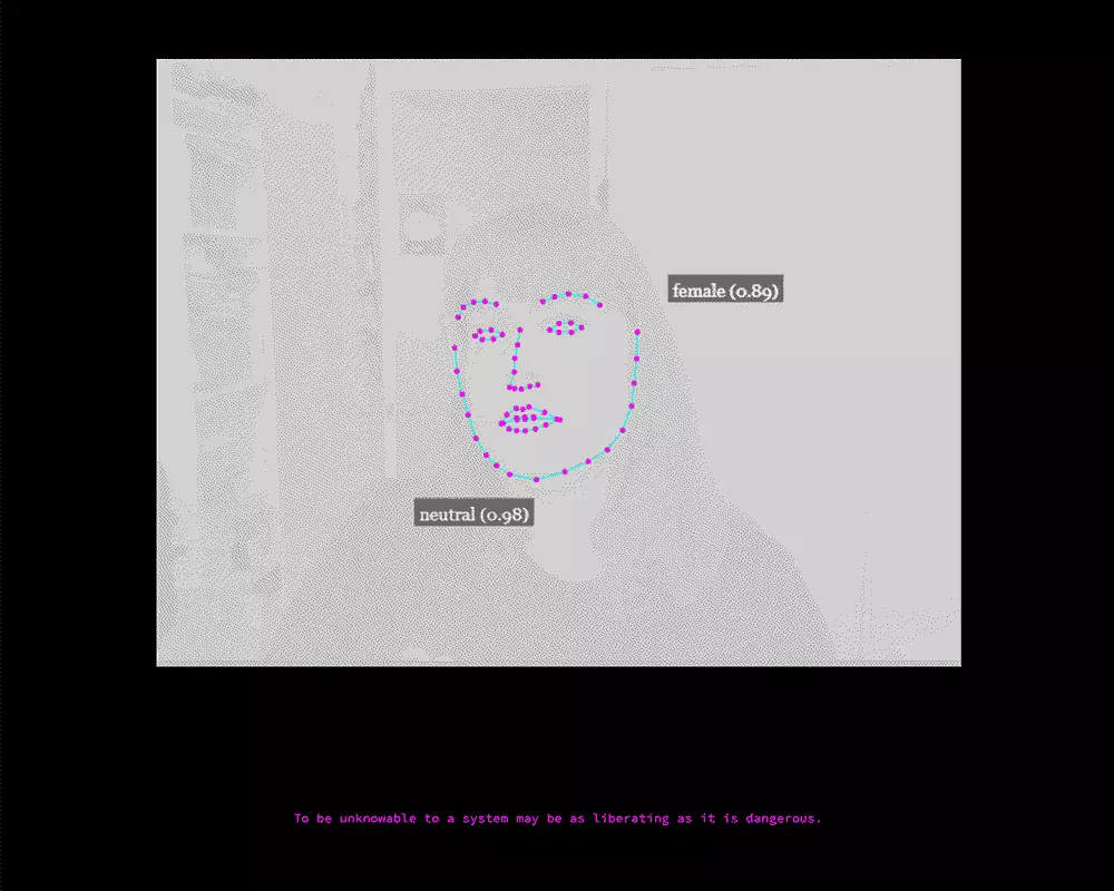 Screenshot of Landmarks website featuring pink text on a blackground with a smaller white and grey image in the center featuring a face with facial recognition readings overlayed on top.