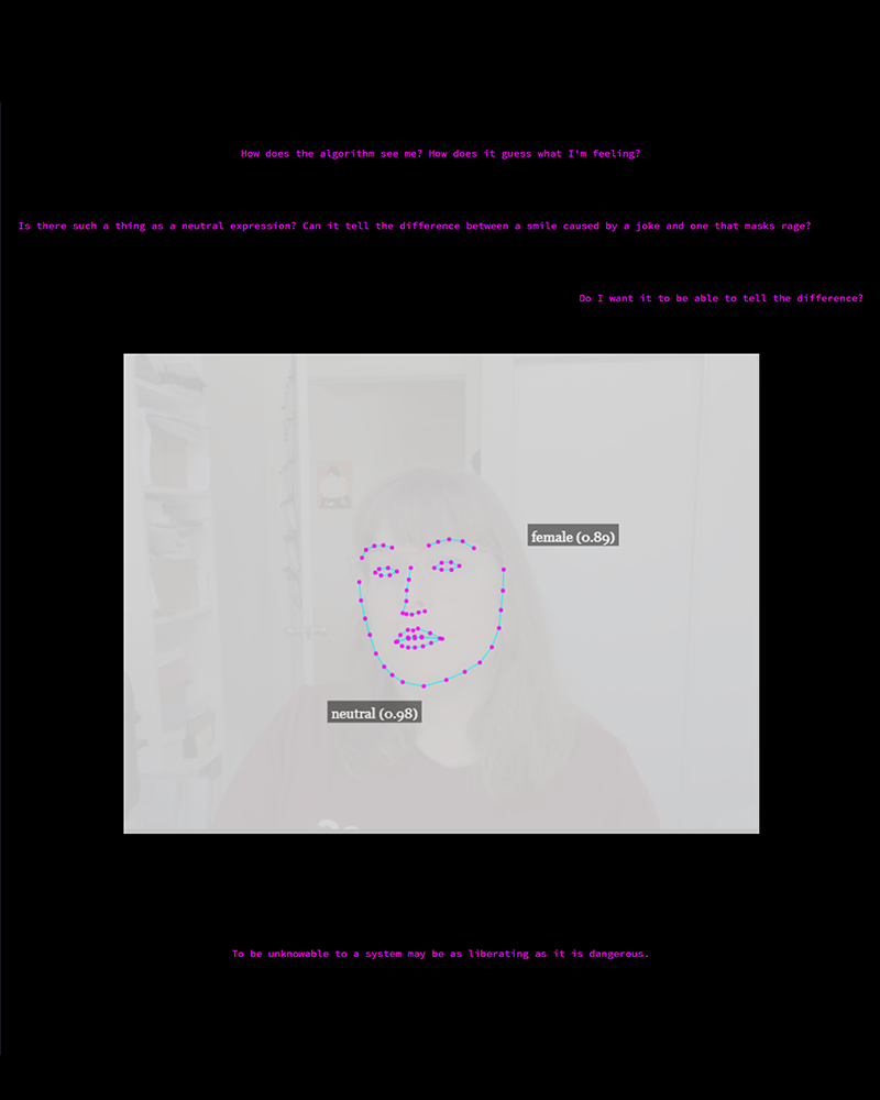 Screenshot of Landmarks website featuring pink text on a blackground with a smaller white and grey image in the center featuring a face with facial recognition readings overlayed on top.