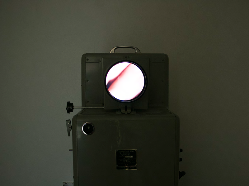 Installation image of The Best Transwoman featuring a video of a throat with hands on it being played inside of a vintage opaque image projector.
