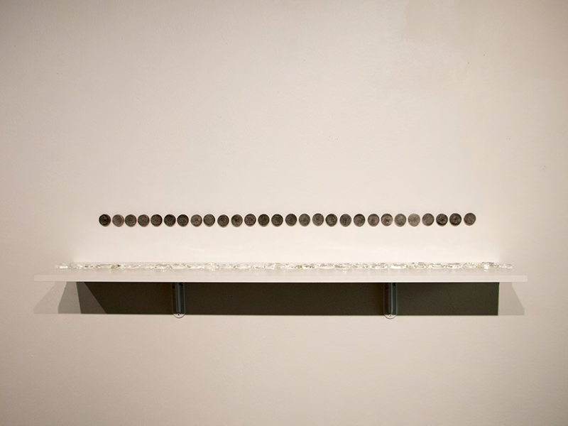 28 black and white seal on a wall with 28 matching glass seals on a white shelf below.