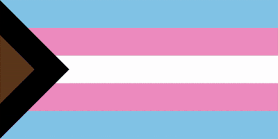 Animation of trans flag with shifting color bars.