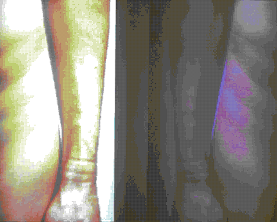 'Read' project image of a nude hip and arm mirrored.