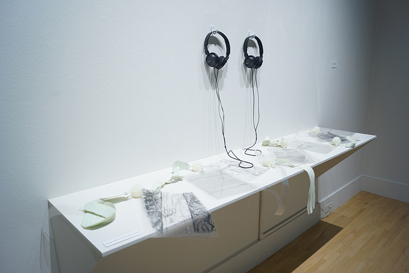 Installation image of Project Bodies featuring a non-linear artist book.